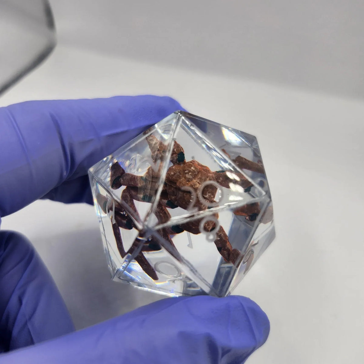 PRE-ORDER || Rocky D20