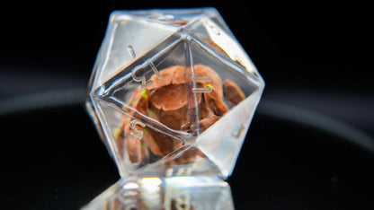 PRE-ORDER || Rocky D20